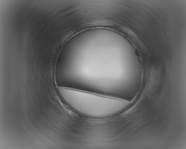 X0000073520833200607310947