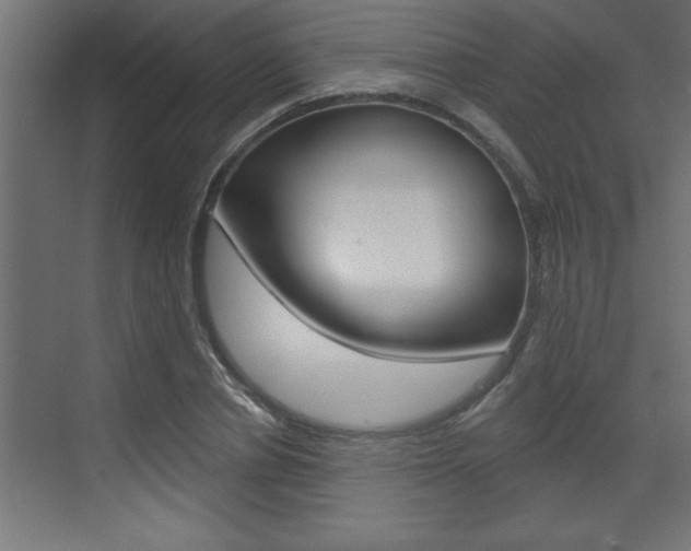 X0000073520834200607310947