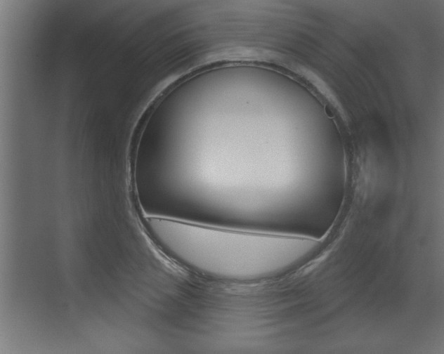X0000073520837200607310947