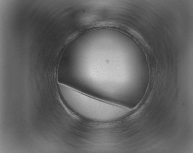 X0000073520841200607310947