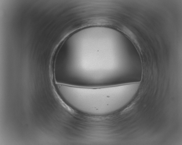X0000073520843200607310947
