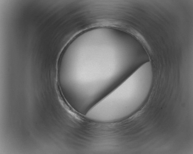 X0000073520844200607310948