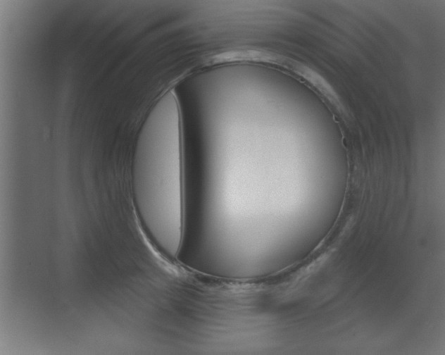 X0000073520849200607310948