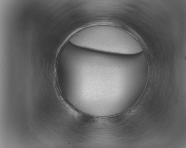 X0000073520852200607310948