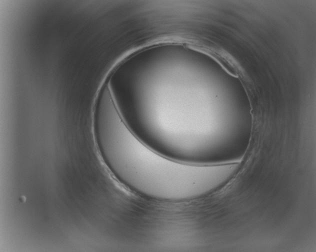 X0000073520854200607310948