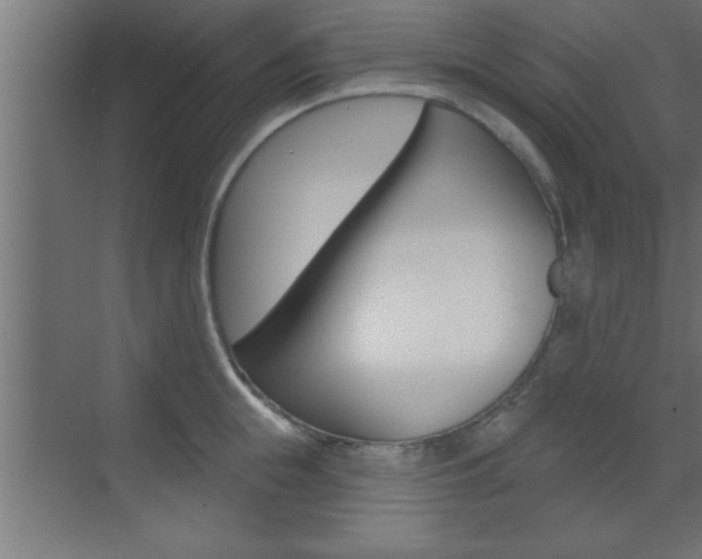 X0000073520855200607310948
