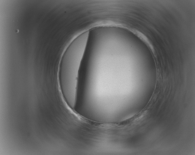 X0000073520863200607310948