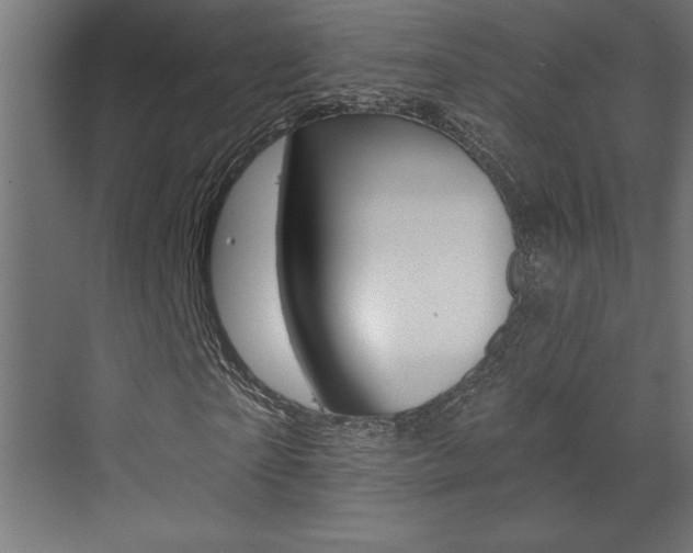 X0000073520865200607310947
