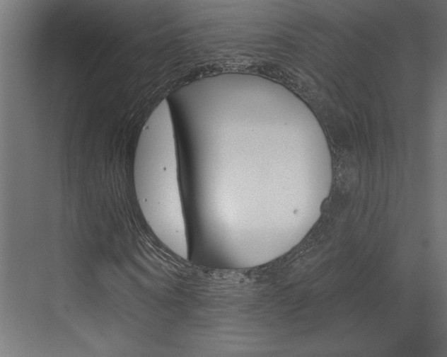 X0000073520866200607310947