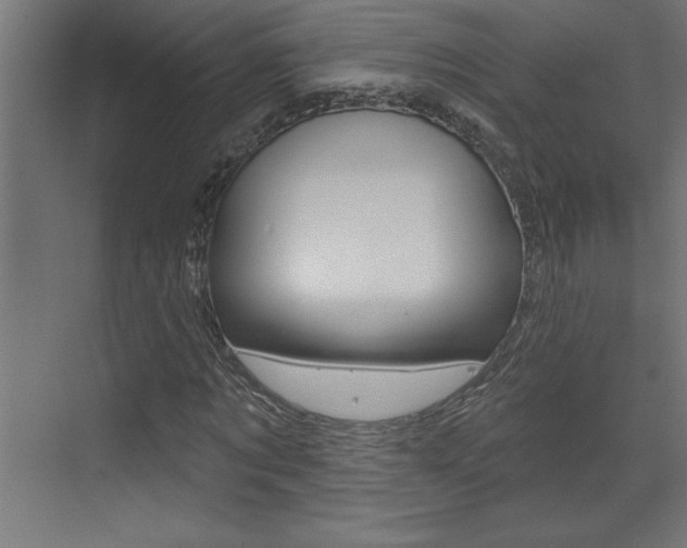 X0000073520869200607310947