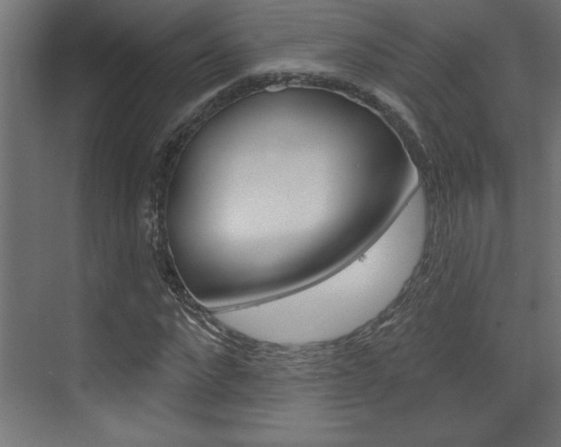 X0000073520872200607310947