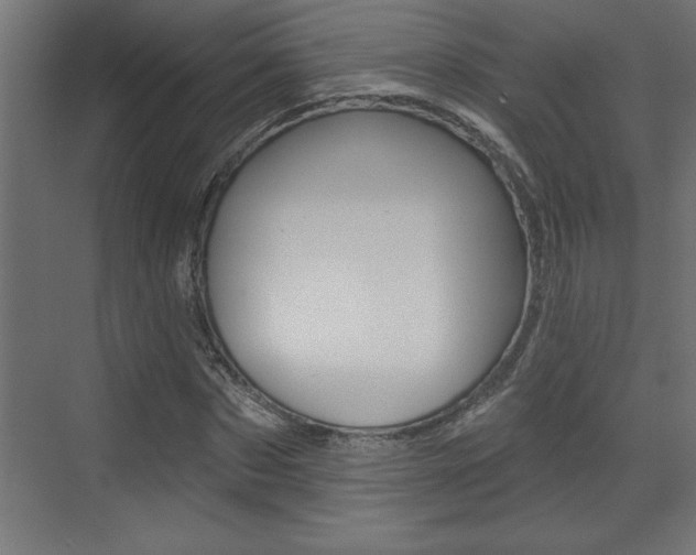 X0000073520873200607310947