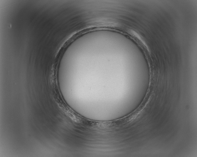 X0000073520875200607310947
