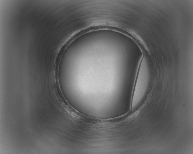 X0000073520877200607310947