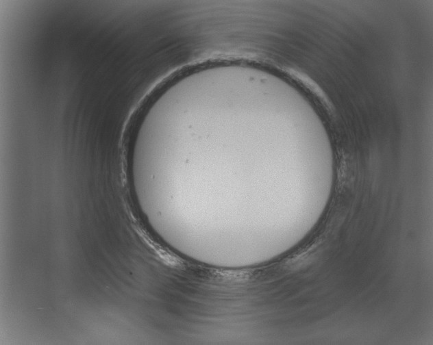 X0000073520878200607310947