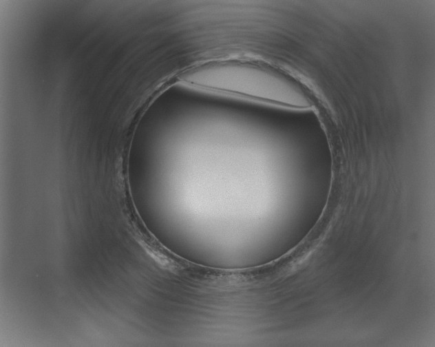 X0000073520881200607310947