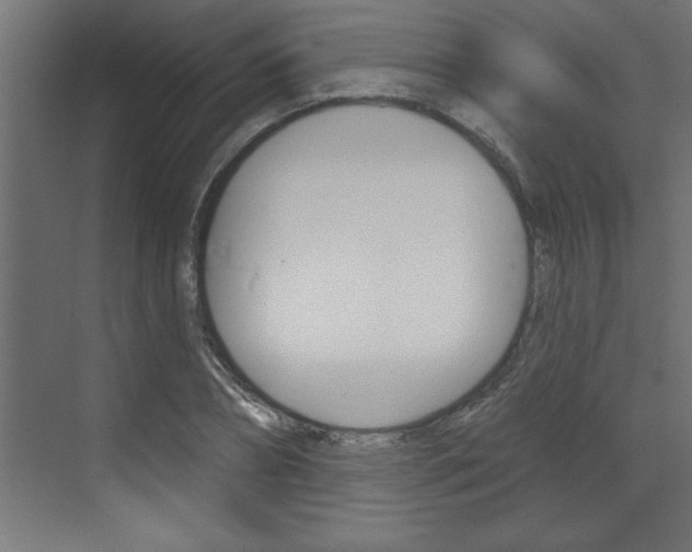 X0000073520882200607310947