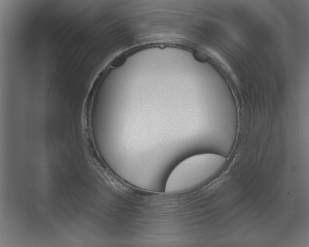 X0000073520883200607310947