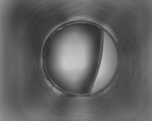 X0000073520888200607310947