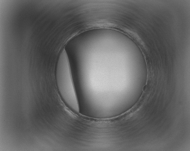 X0000073520889200607310947