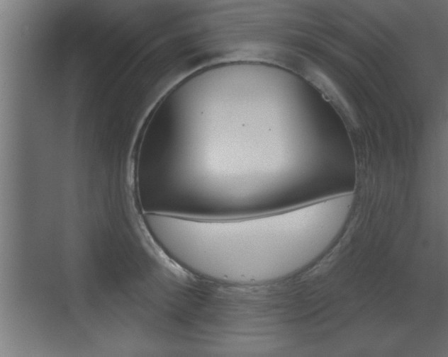 X0000073520900200607310946