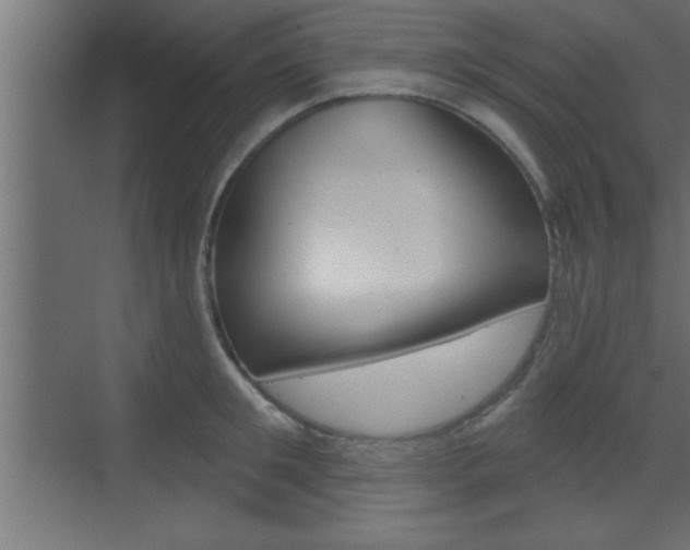 X0000073520901200607310946