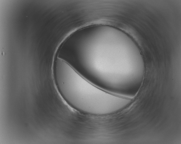 X0000073520902200607310946