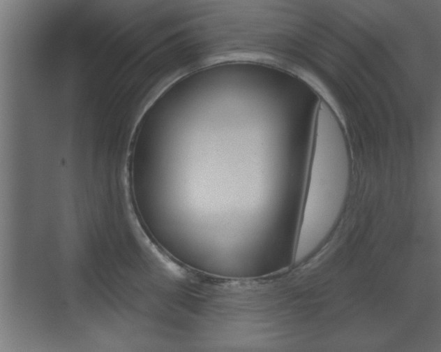 X0000073520906200607310946
