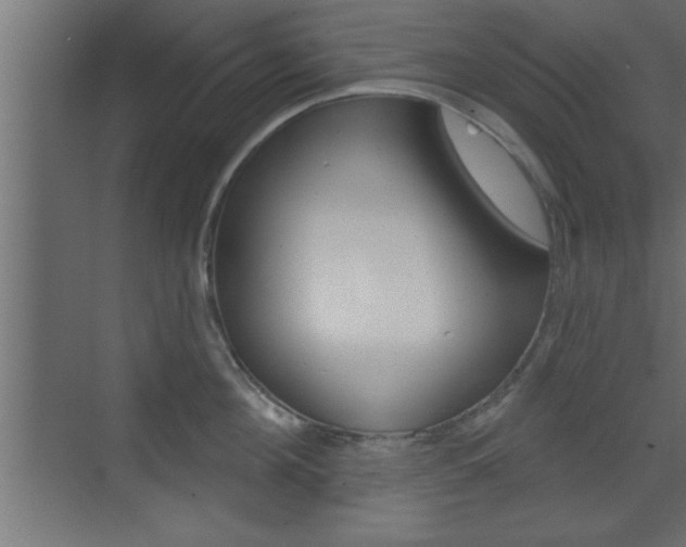 X0000073520908200607310946