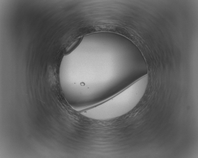 X0000073520915200607310945