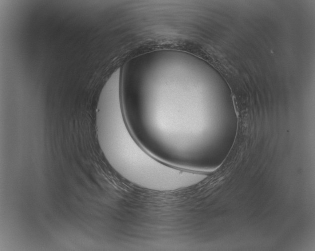 X0000073520916200607310945