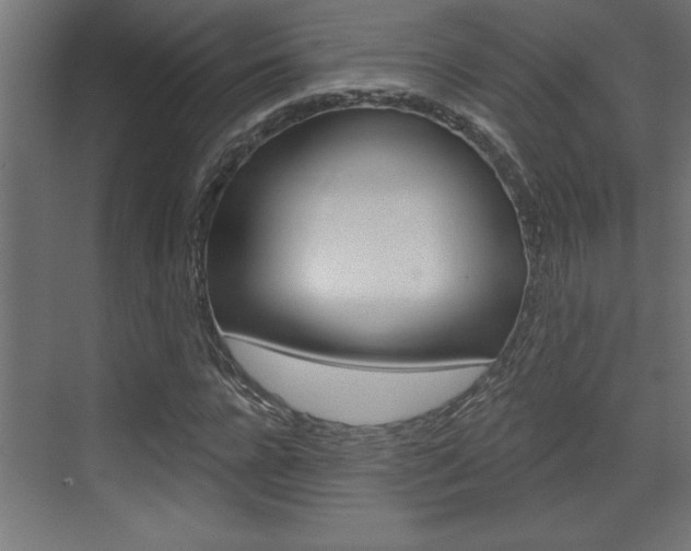 X0000073520920200607310946