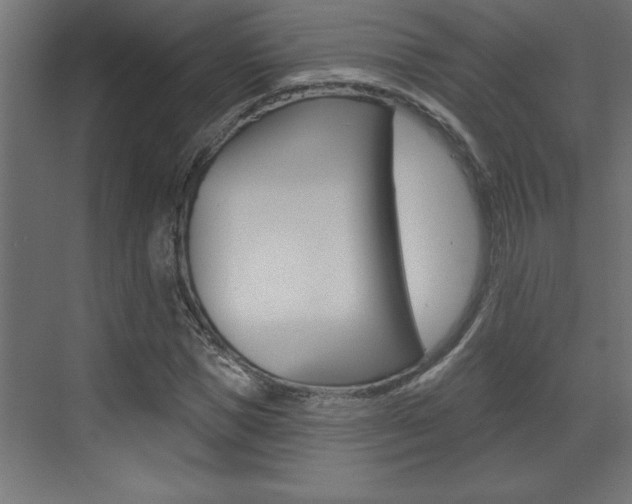 X0000073520921200607310946