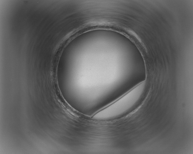 X0000073520922200607310946