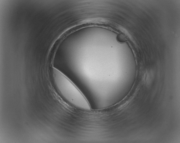 X0000073520923200607310946