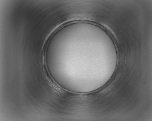 X0000073520925200607310946