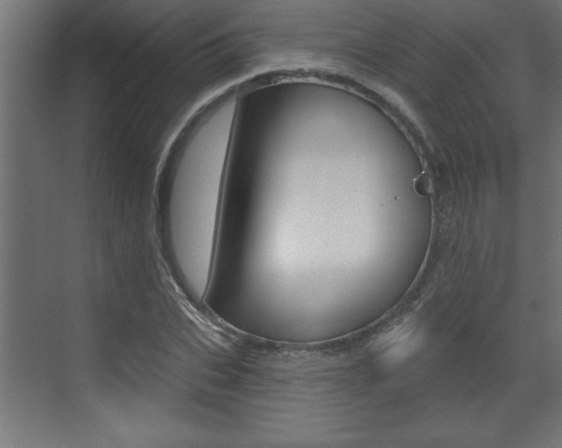 X0000073520927200607310946