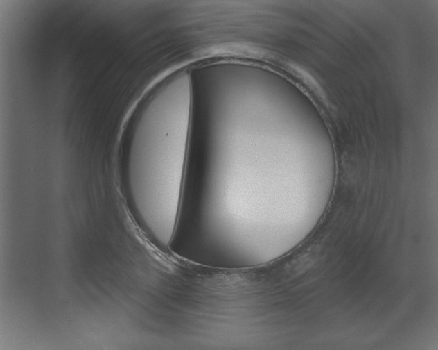 X0000073520931200607310946