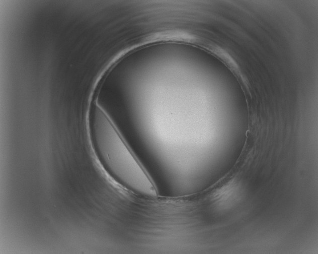 X0000073520947200607310946