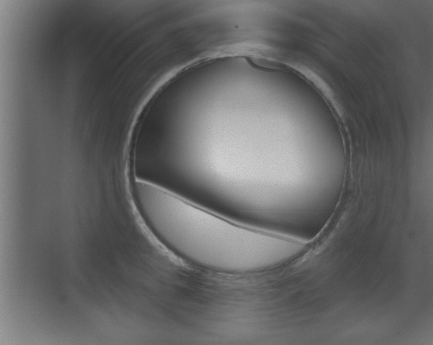 X0000073520949200607310946