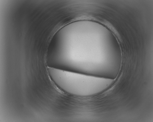 X0000073520953200607310946
