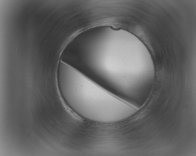 X0000073520954200607310946