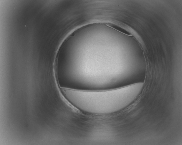 X0000073520958200607310946
