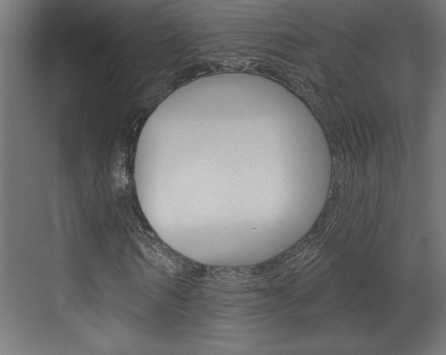 X0000073520962200607310945