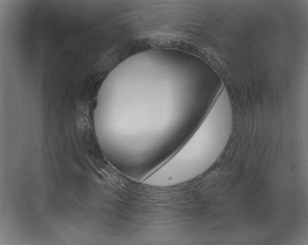 X0000073520964200607310945
