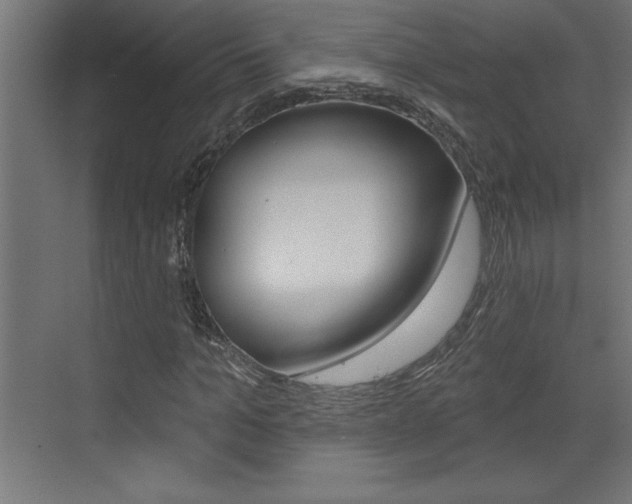 X0000073520965200607310945