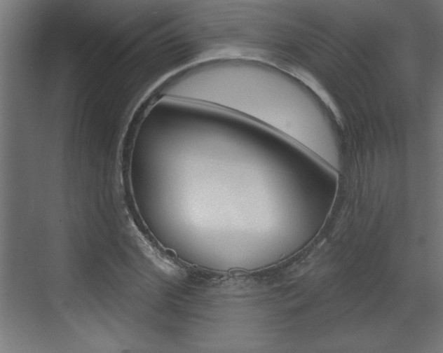 X0000073520972200607310945