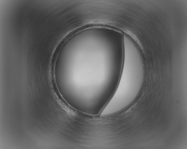 X0000073520976200607310945