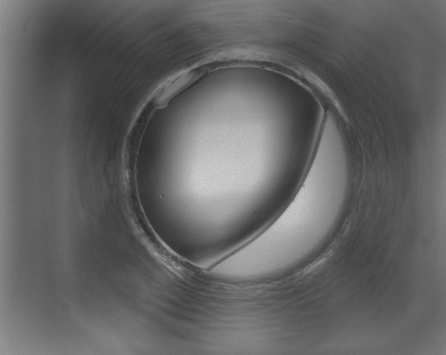 X0000073520981200607310945