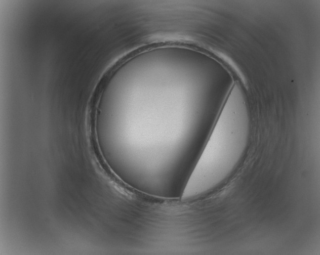 X0000073520983200607310945
